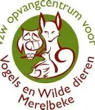 Te weinig chauffeurs: opvangcentrum Merelbeke vraagt hulp voor dierenvervoer